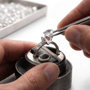 <em>A Network of Expertise</em>