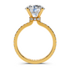 Round Pavé Setting
