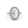 Aurielle Oval Halo Pavé Ring
