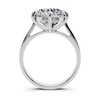 Eliora Solitaire Setting