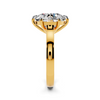 Eliora Solitaire Setting