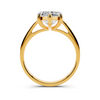 Mariselle Solitaire Setting