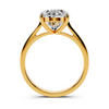 Elara Solitaire Setting