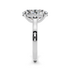 Elara Solitaire Setting