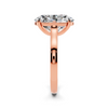 Elara Solitaire Setting