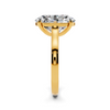 Elara Solitaire Setting