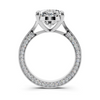 Liora Oval Hidden Halo Setting