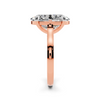 Liora Oval Hidden Halo Setting
