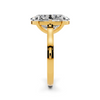 Liora Oval Hidden Halo Setting