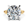 The Round Brilliant Split-Shank Solitaire