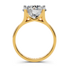 The Round Brilliant Split-Shank Solitaire