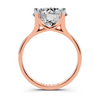 The Round Brilliant Split-Shank Solitaire