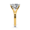 The Round Brilliant Split-Shank Solitaire