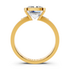 Emerald Cut Bezel Accent Setting