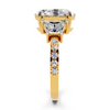 Amara Oval Three-Stone Setting