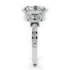Amara Oval Three-Stone Setting